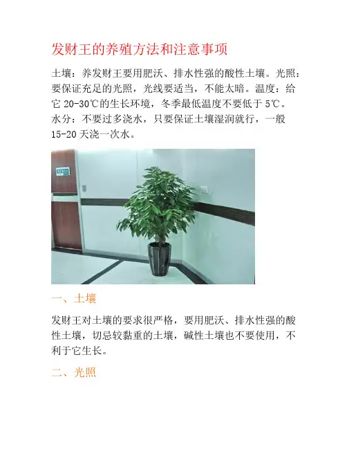 发财王的养殖方法和注意事项