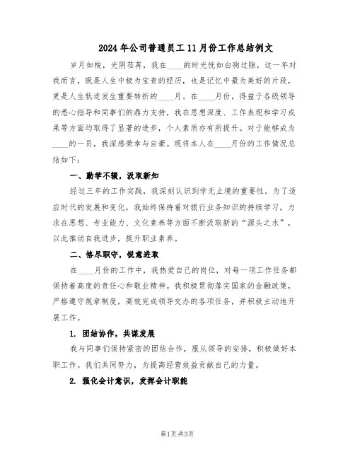 2024年公司普通员工11月份工作总结例文（二篇）