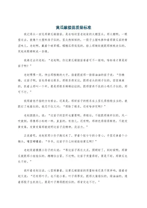 黄瓜嫁接苗质量标准