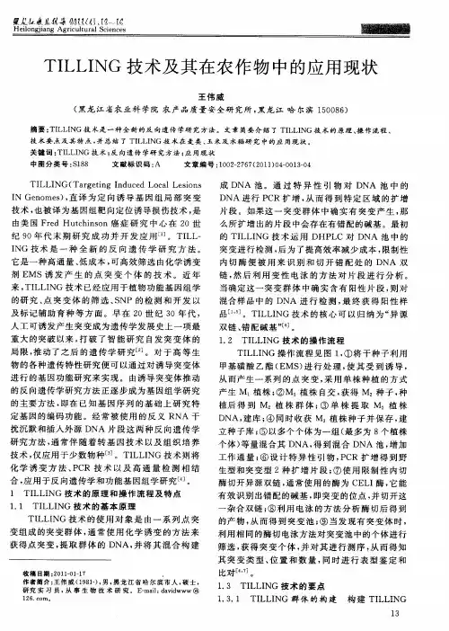 TILLING技术及其在农作物中的应用现状