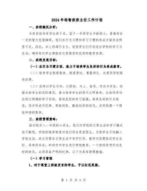 2024年培智班班主任工作计划（二篇）