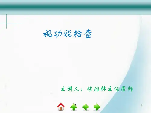 视功能检查法