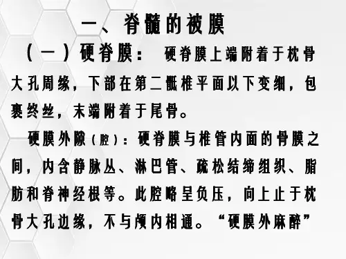 脊髓和脑的被膜