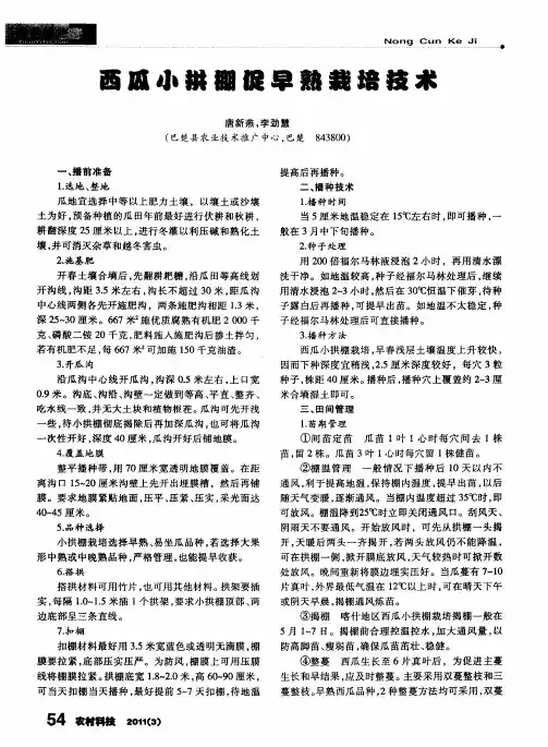 西瓜小拱棚促早熟栽培技术