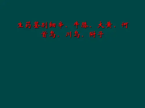 生药鉴别细辛、牛膝、大黄、何首乌、川乌、附子