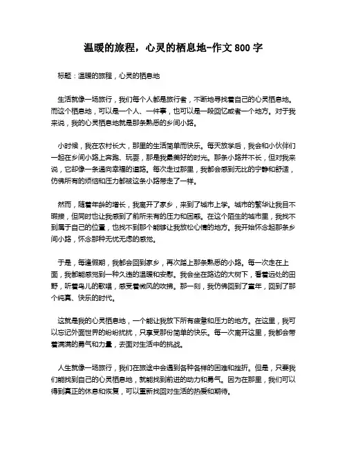 温暖的旅程,心灵的栖息地-作文800字
