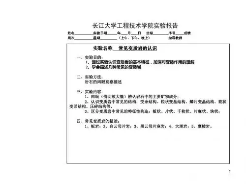实验常见变质岩的认识