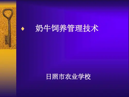 奶牛饲养管理技术