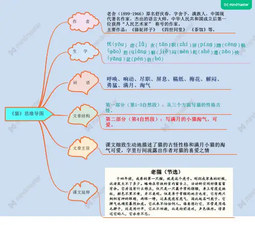 思维导图最新人教版四年级语文下册《猫》