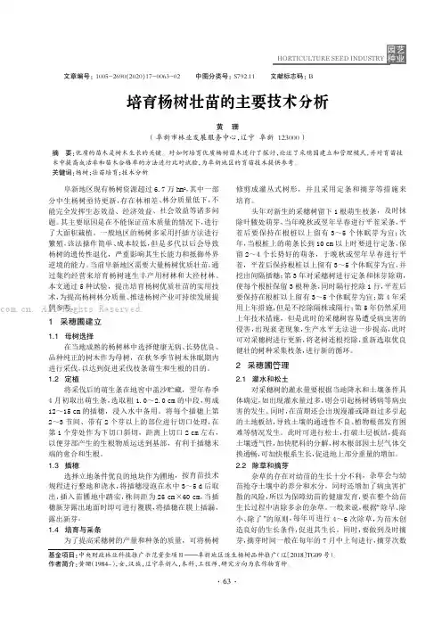 培育杨树壮苗的主要技术分析