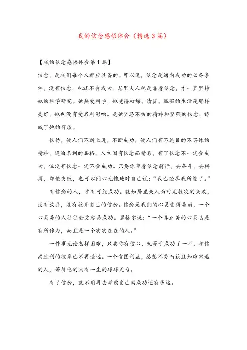 我的信念感悟体会(精选3篇)