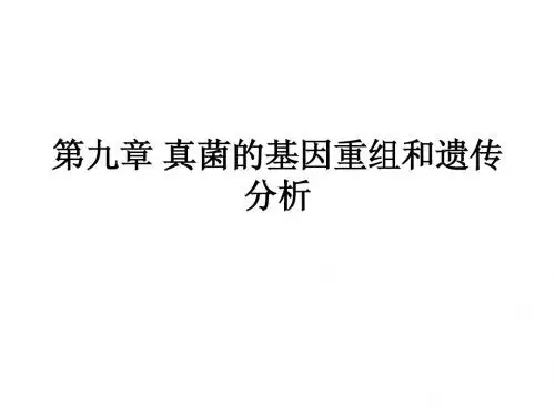 第八章 真菌的基因