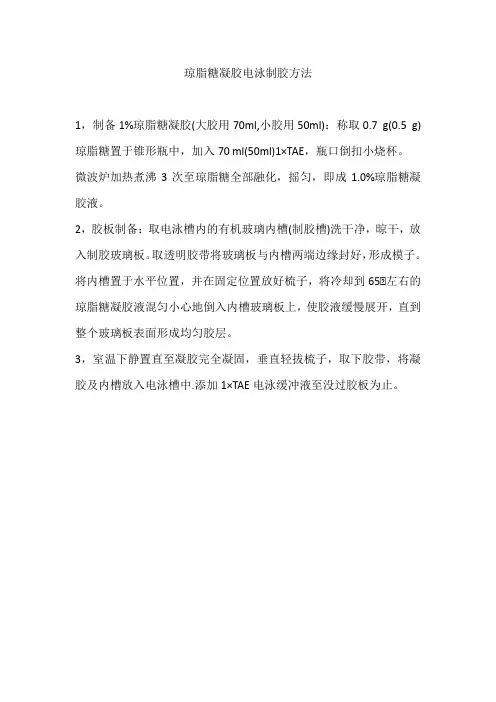 琼脂糖凝胶电泳制胶