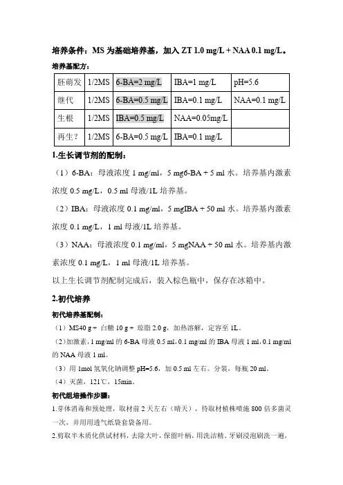 组培操作步骤