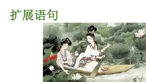 高三第一轮复习专题扩展语句