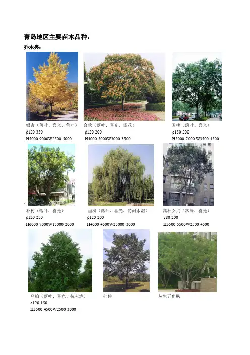 青岛地区适合栽植的植物