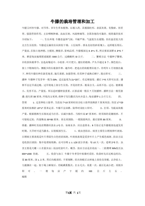 牛膝的栽培管理和加工