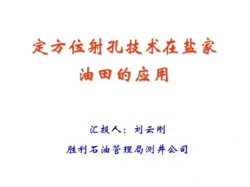 定方位射孔技术在盐家油田的应用