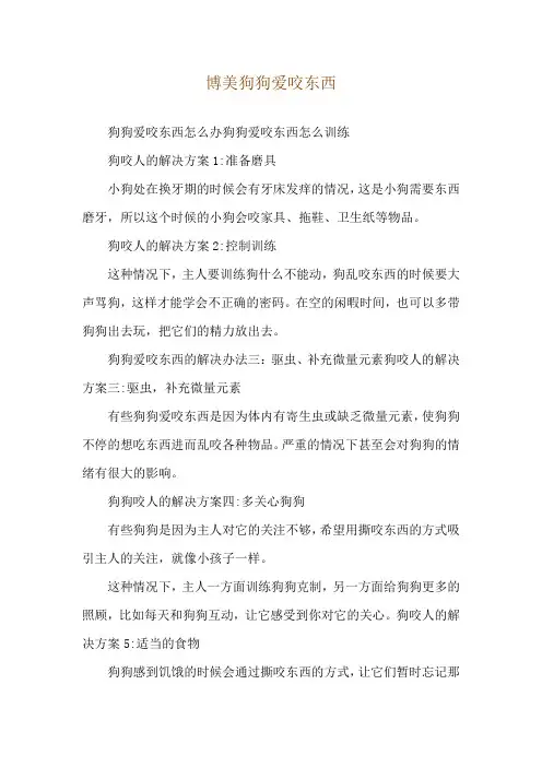 博美狗狗爱咬东西