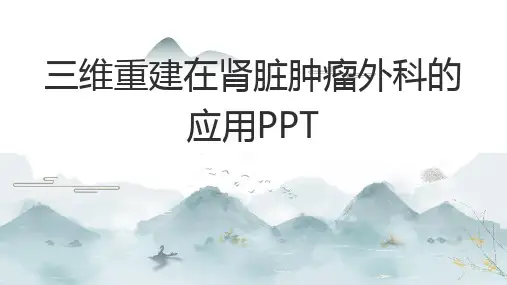 三维重建在肾脏肿瘤外科的应用PPT