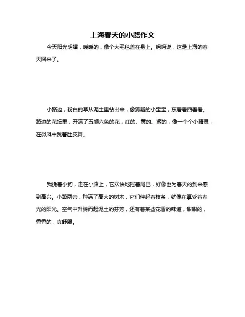 上海春天的小路作文