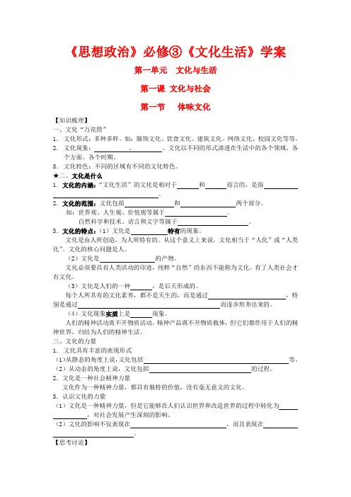 高中政治 第一课第一节体味文化教案 新人教版必修3