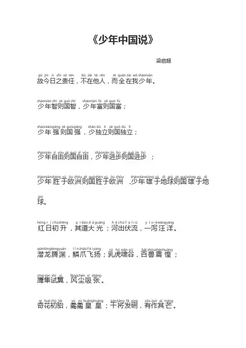 少年说带拼音版