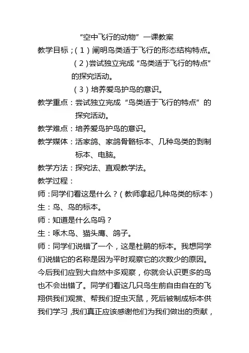 空中飞行的动物一课教案