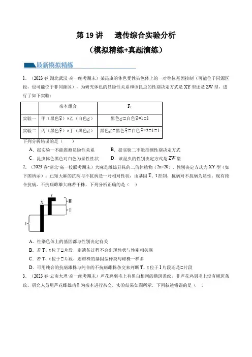 2024年高考生物一轮复习讲练测(新教材新高考)第19讲 遗传综合实验分析(练习)(原卷版+答案解析