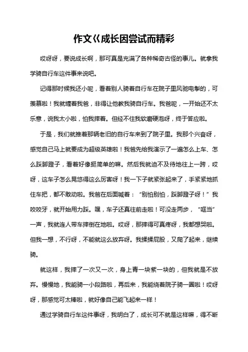 作文巜成长因尝试而精彩