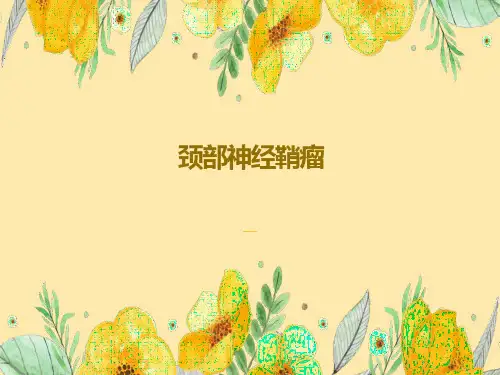 颈部神经鞘瘤影像诊断