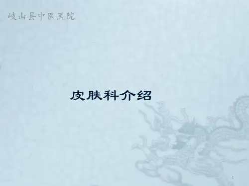 皮肤科简介PPT课件