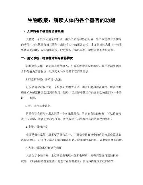 生物教案：解读人体内各个器官的功能