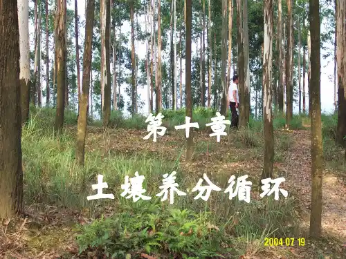 土壤养分循环精ppt课件