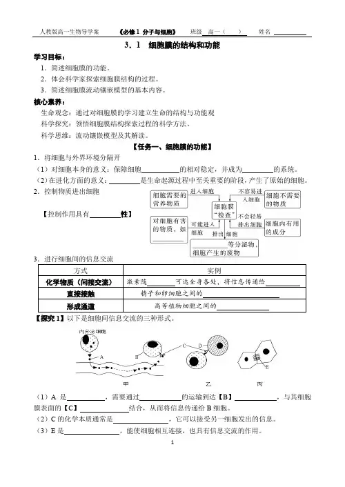 3.1细胞膜的结构和功能导学案-2024-2025学年高一上学期生物人教版必修1