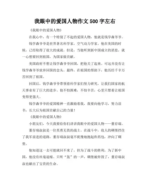 我眼中的爱国人物作文500字左右