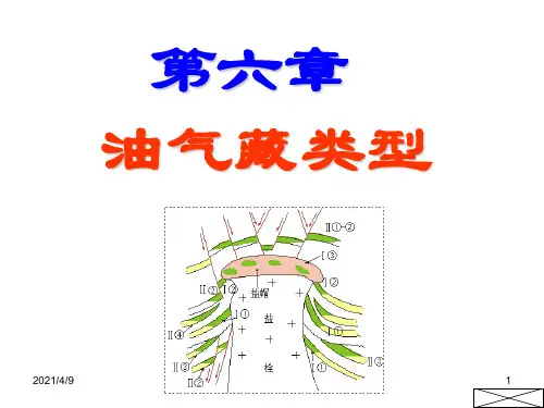 东北石油大学油气田地质开发基础-PPT-第六章