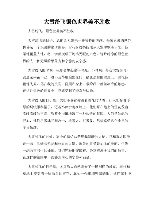 大雪纷飞银色世界美不胜收