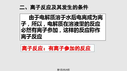 离子方程式的书写PPT课件