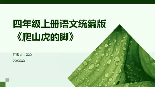 10《爬山虎的脚》  课件(共26张PPT)