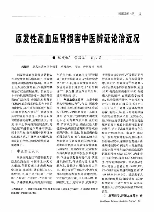 原发性高血压肾损害中医辨证论治近况