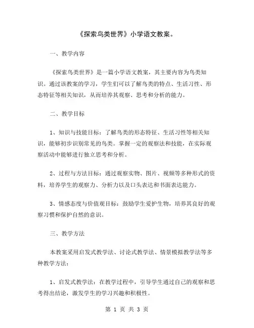 《探索鸟类世界》小学语文教案