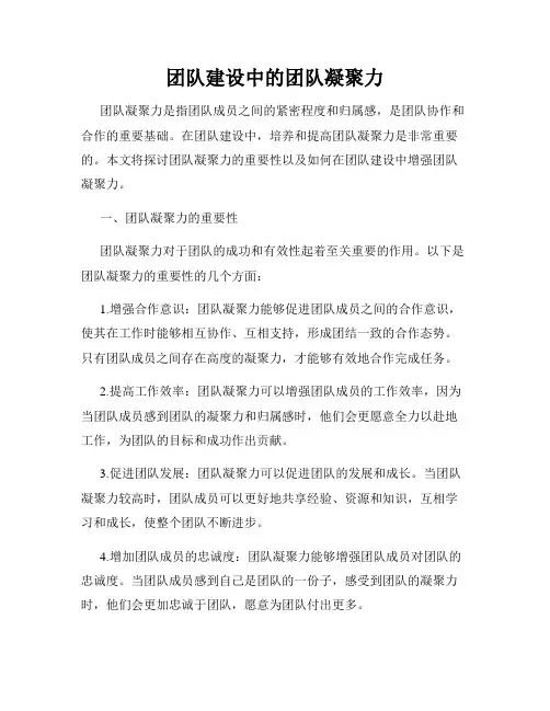 团队建设中的团队凝聚力