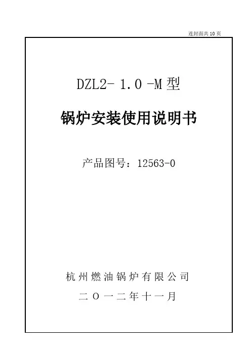 安装使用说明书(DZL6-1.25-AIII 03185)