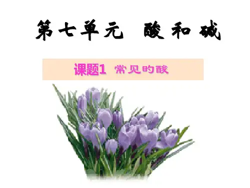 沪教版常见的酸省名师优质课赛课获奖课件市赛课一等奖课件