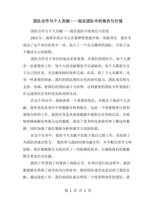 团队合作与个人贡献——我在团队中的角色与价值