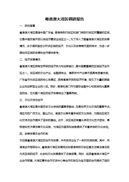 粤港澳大湾区调研报告