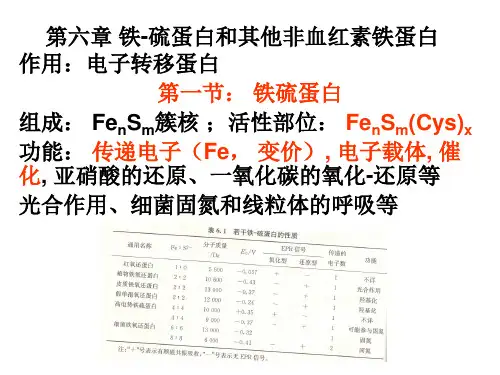 化学与生命 第6章 铁-硫蛋白
