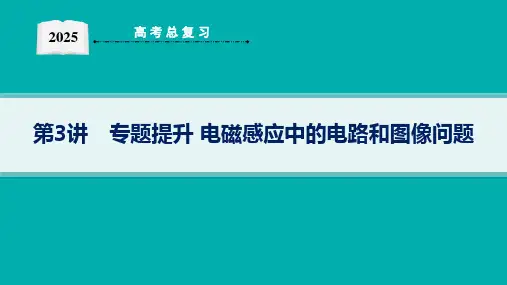 2025高考物理总复习电磁感应中的电路和图像问题