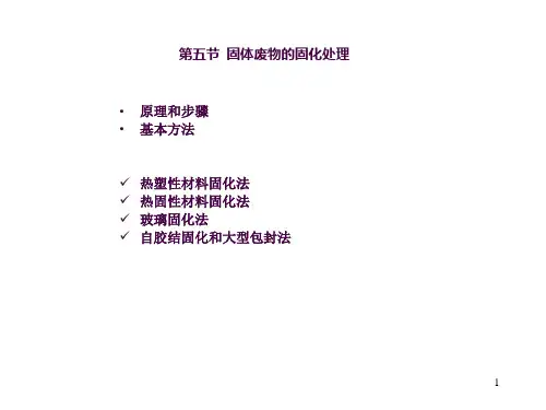 固体废物的固化处理ppt课件
